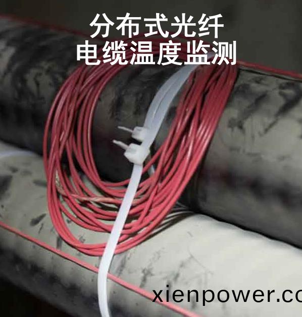長距離分佈(bu)式(shi)光(guang)纖(xian)溫度傳(chuan)感係(xi)統(tong)
